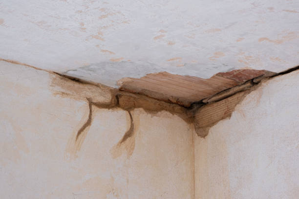 Best Local water damage restoration  in Lake Royale, NC