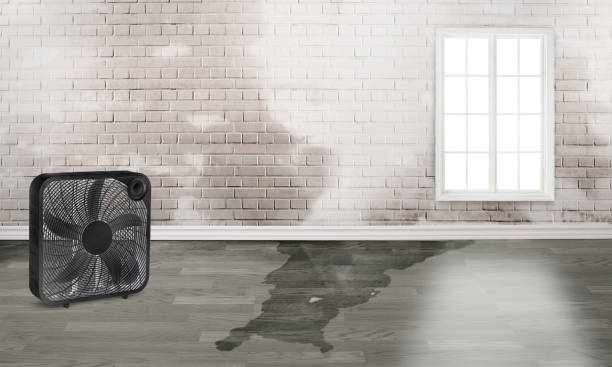 Best Sewage cleanup and water damage restoration  in Lake Royale, NC