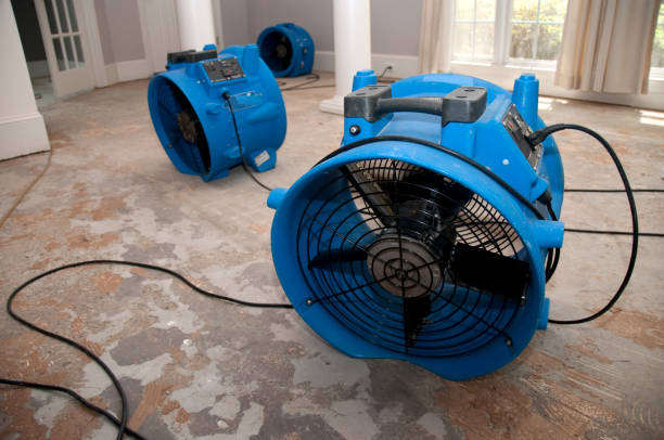 Best Flood damage cleanup  in Lake Royale, NC