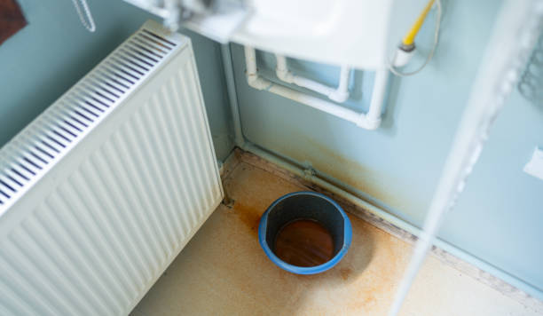 Best Water damage restoration services  in Lake Royale, NC