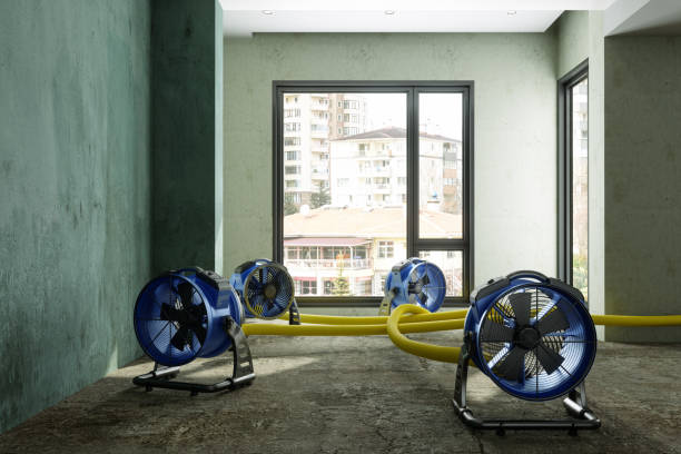 Best Water damage cleanup near me  in Lake Royale, NC
